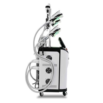 macchina di Coolsculpting di cryo del nero di 110V 240V 800W