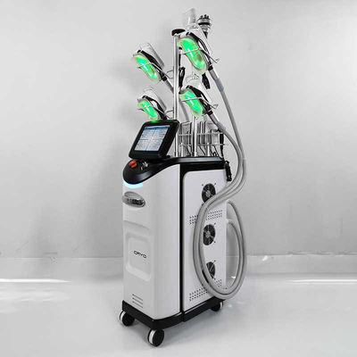 Macchina di Cryolipolysis del CE dell'addome, gelata grassa di Cryolipolysis che dimagrisce macchina